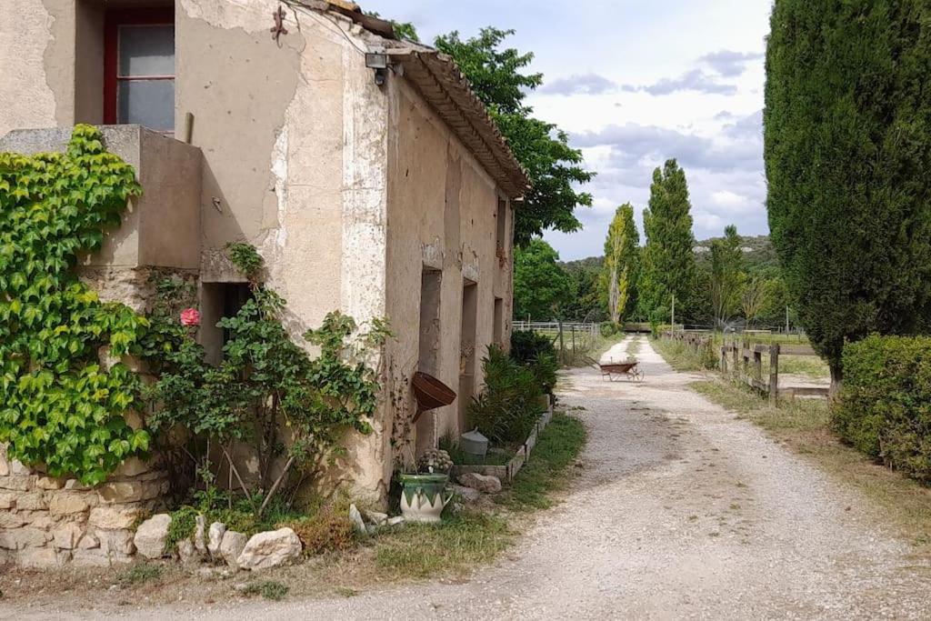 Chambre D'Hotes Manon - Domaine Les Peupliers - Lagnes Екстер'єр фото